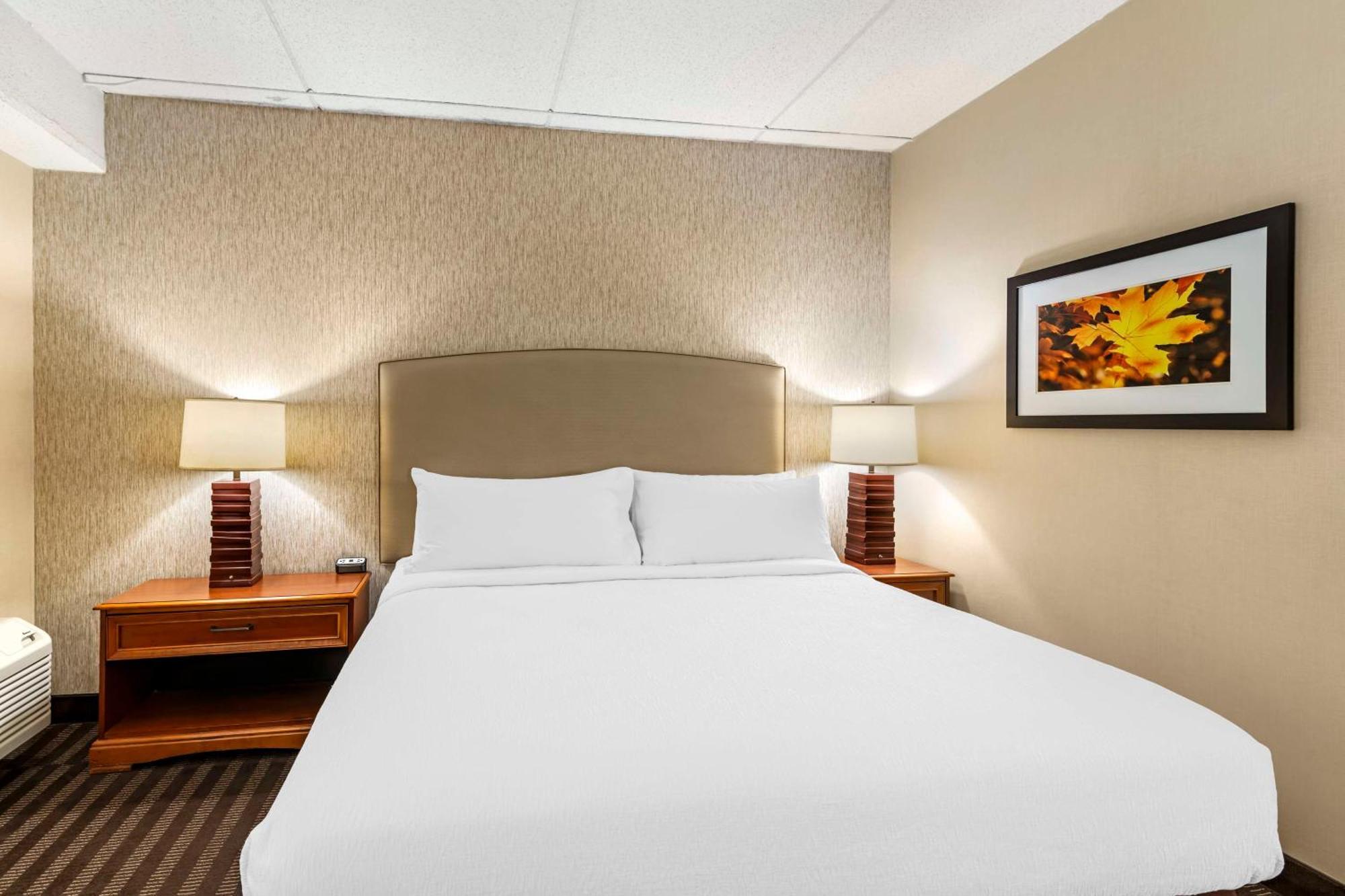Best Western Springfield Hotel Eksteriør bilde